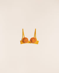 LE BANDEAU PAMPERO