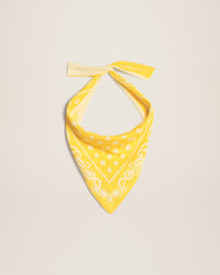 LE FOULARD AMARO