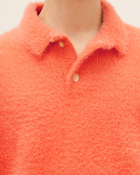 LE POLO NEVE