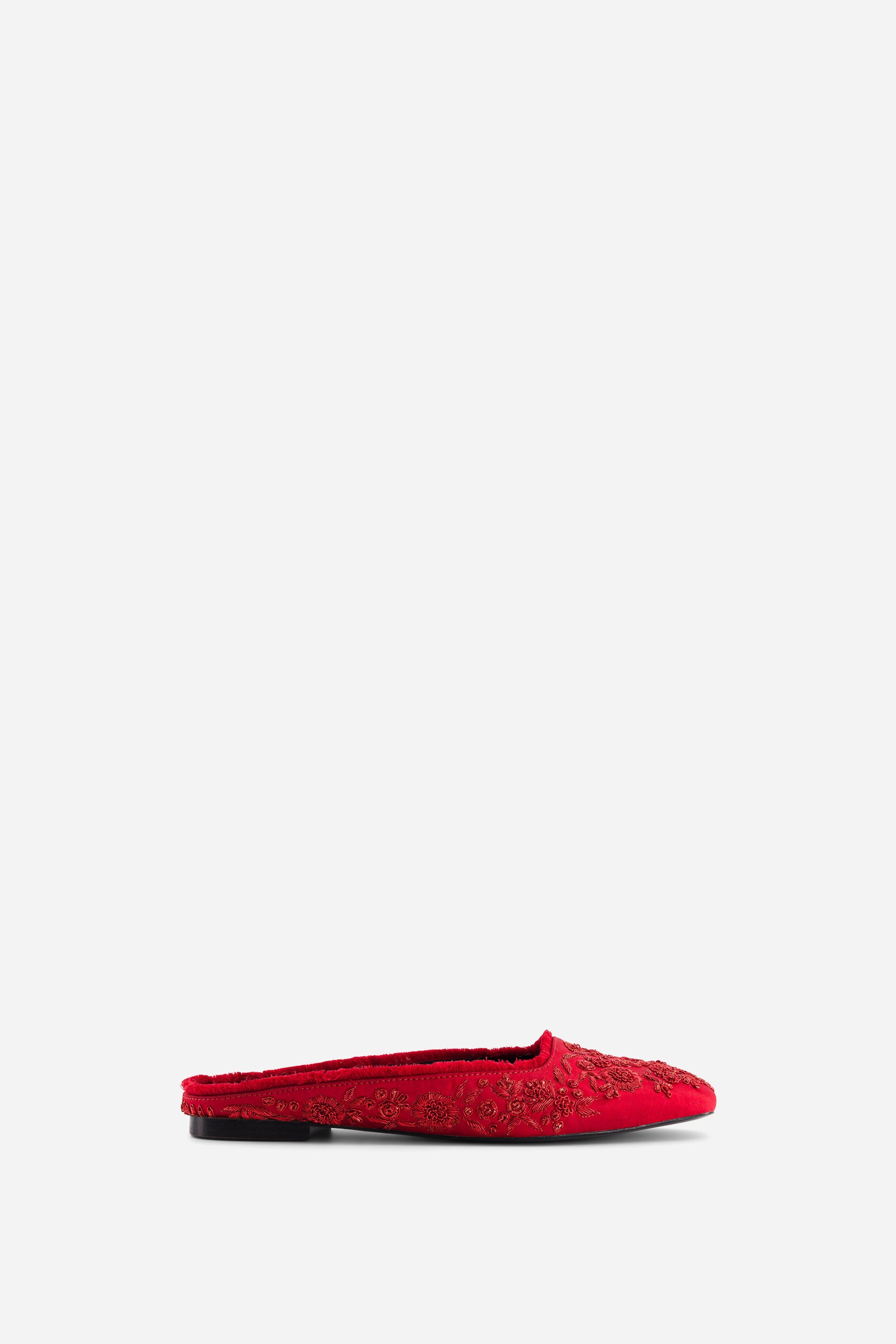 ZNOSTOCK_RED SHOES POINTE - Red