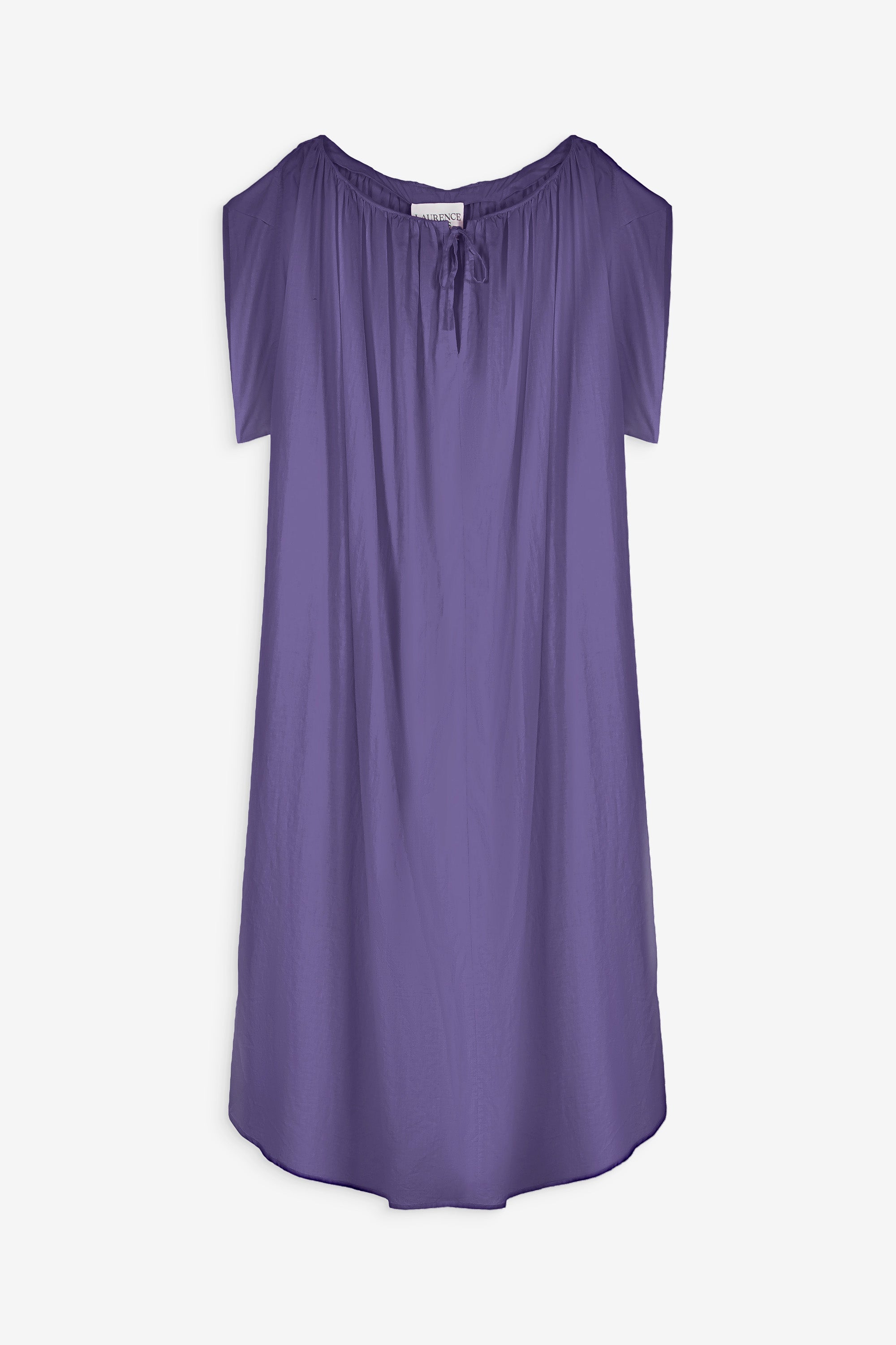 ZNOSTOCK_PURPLE ROBE DAFF - Purple