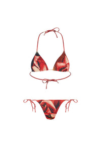 Bas de Bikini imprimé - Green & Red & Blue
