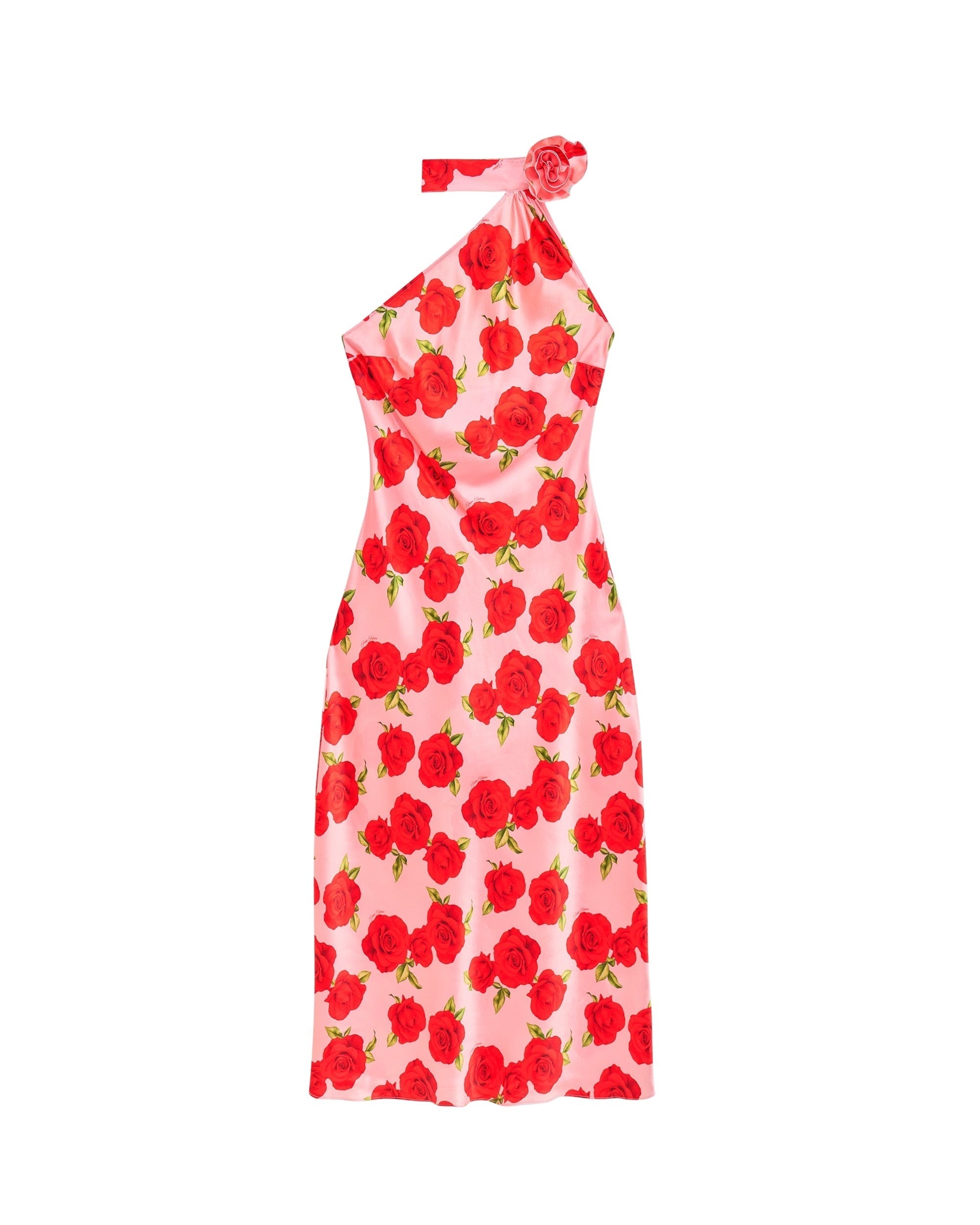 HOT ROSES / DJV / QTY : 10 / Robe Longue Asymétrique Sienna - Hot Roses