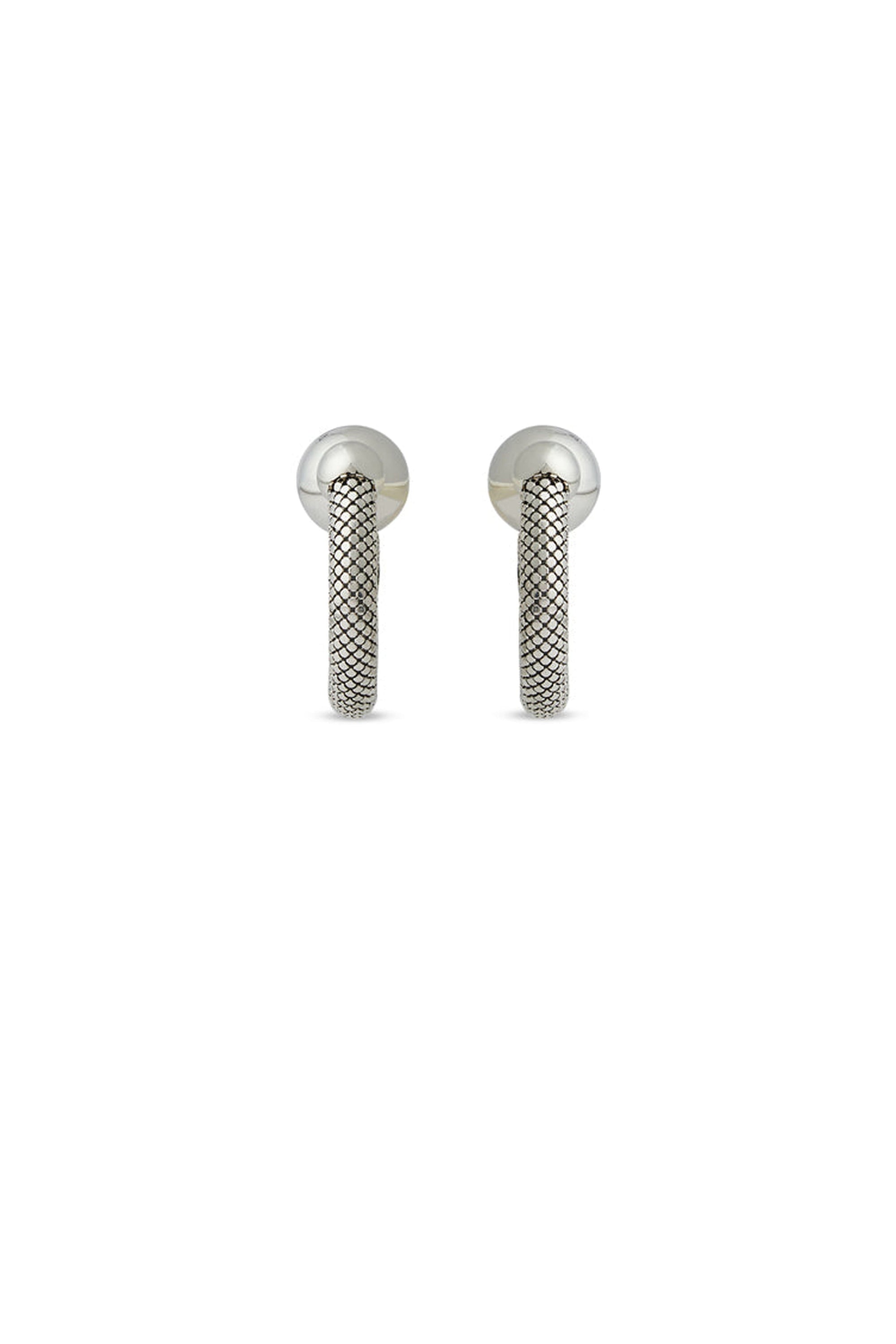 Silver Boucles d’oreilles - Silver