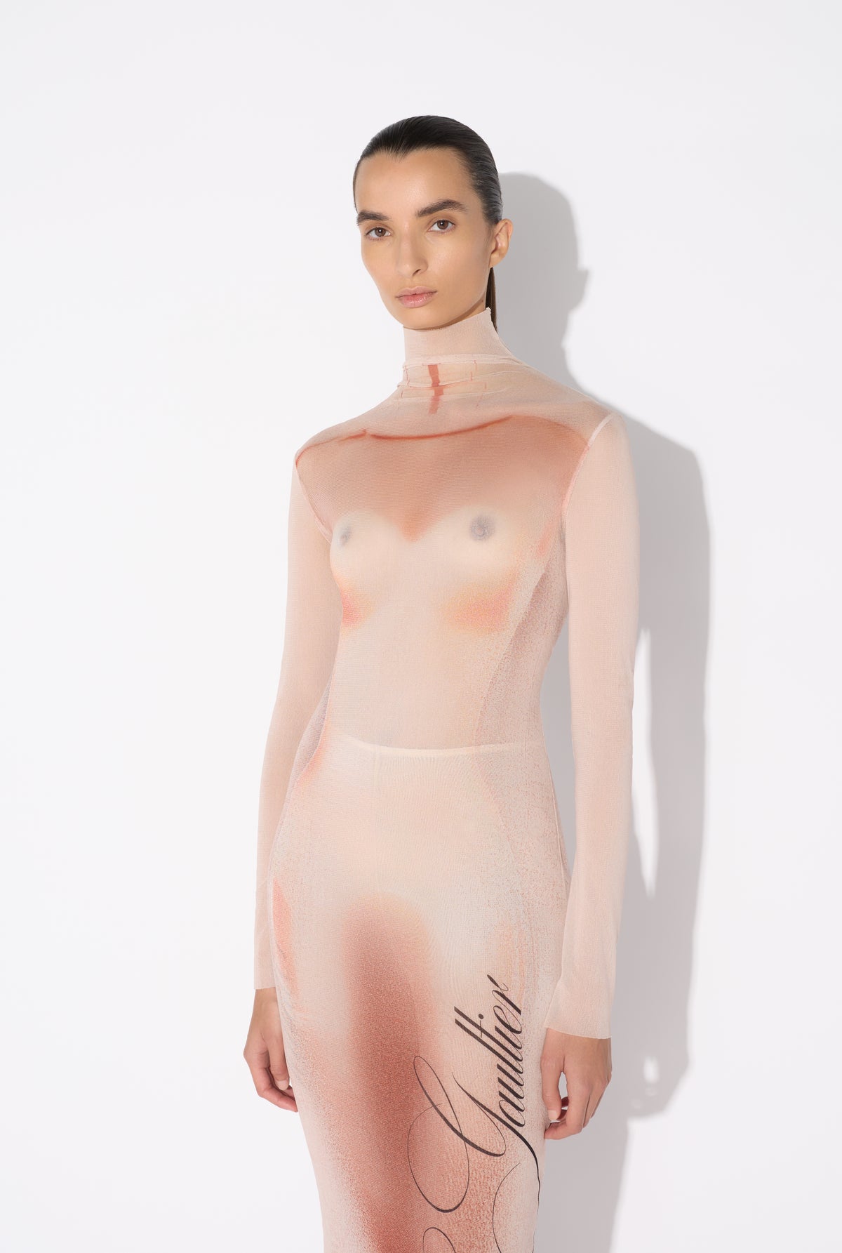 Mesh Turtleneck Long Dress Printed "Le Classique" - Palepink & Dustypink