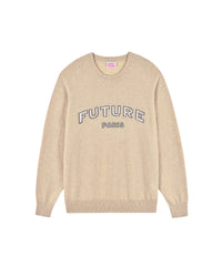 Pull à col rond Future Paris en cachemire - Beige Chiné