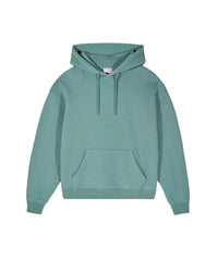 Hoodie Don't mess with the Future - Washed Green