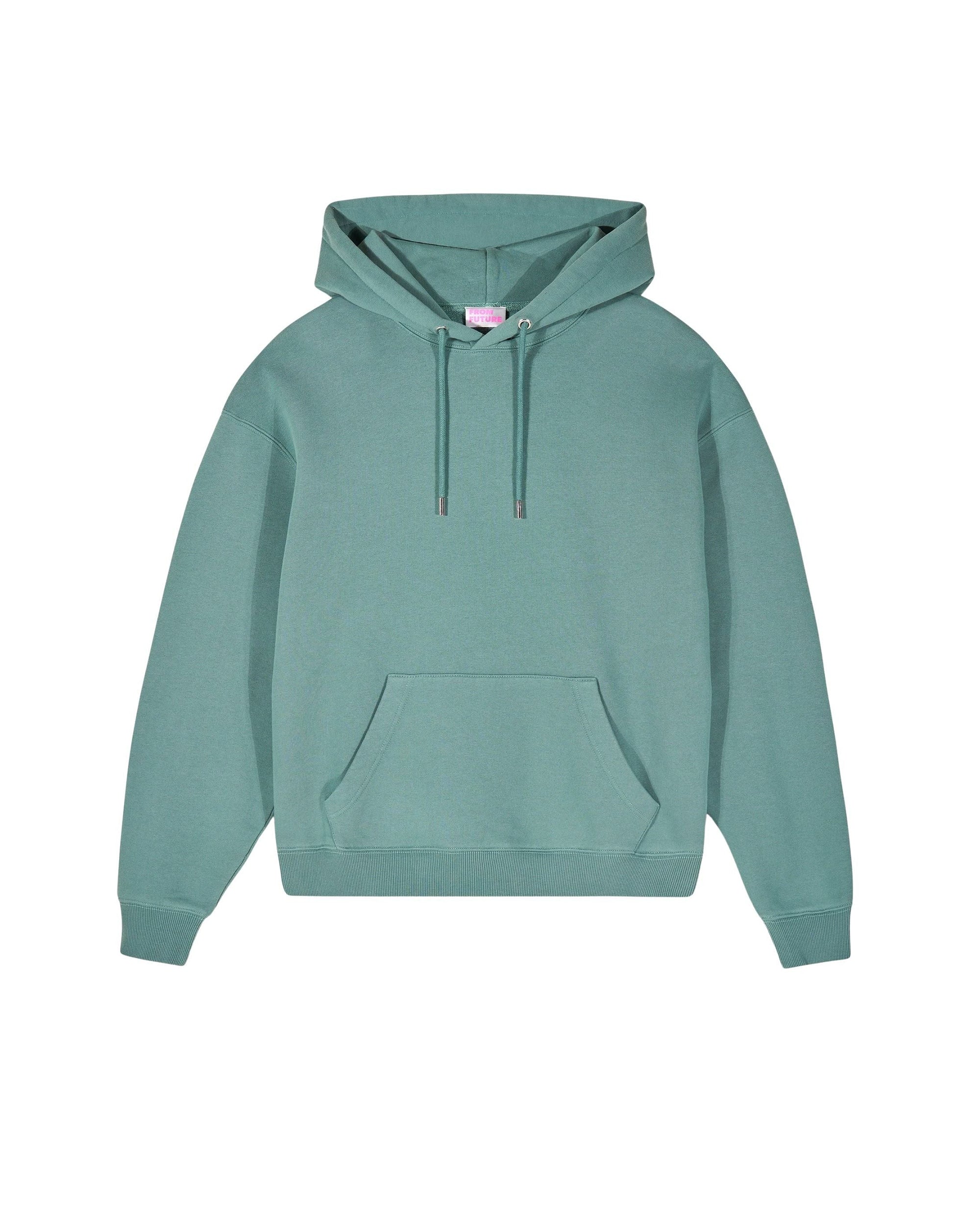 Hoodie Don't mess with the Future - Washed Green