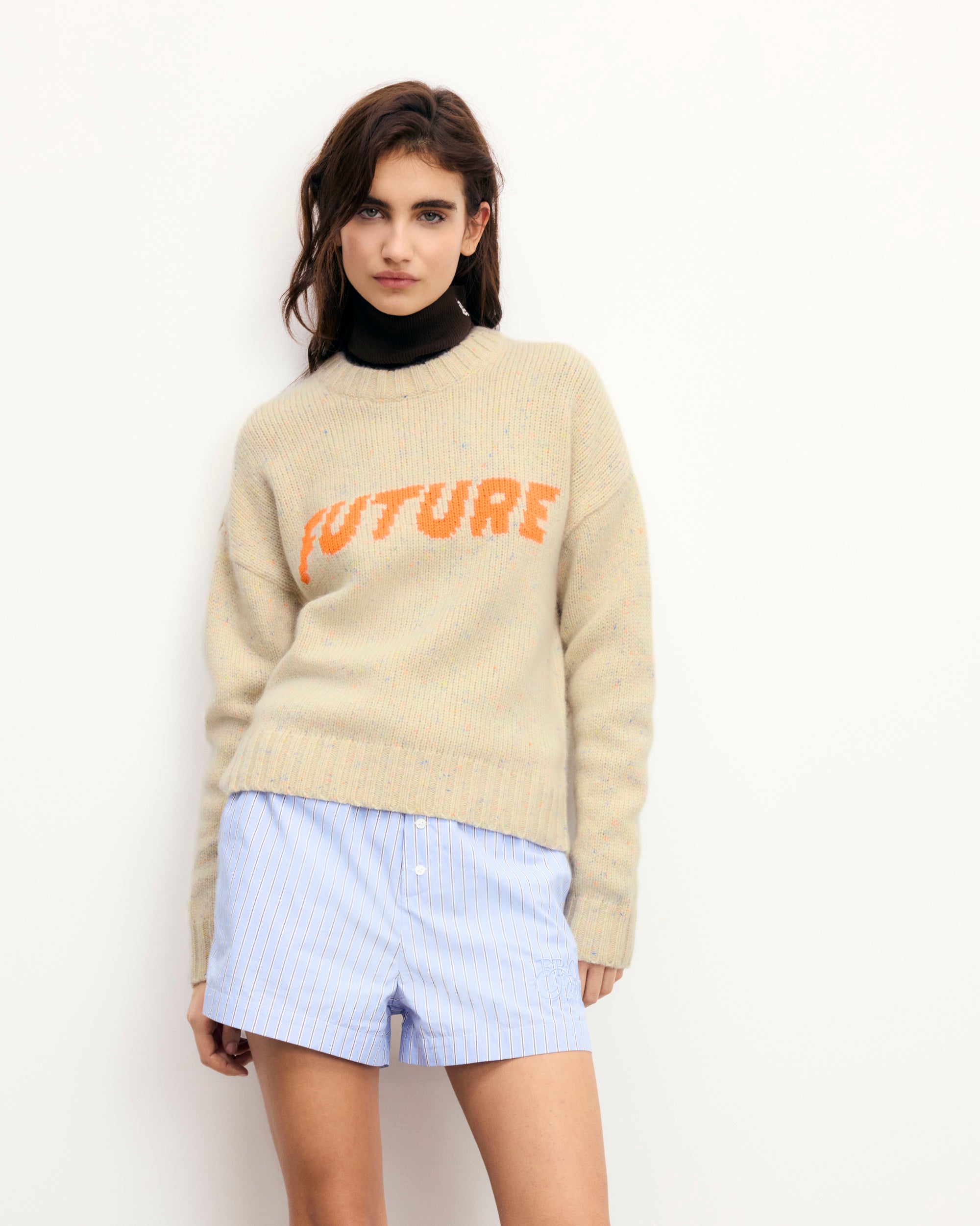 SABLE / NEW / QTY : 103 / Pull Col Rond Future - Sable