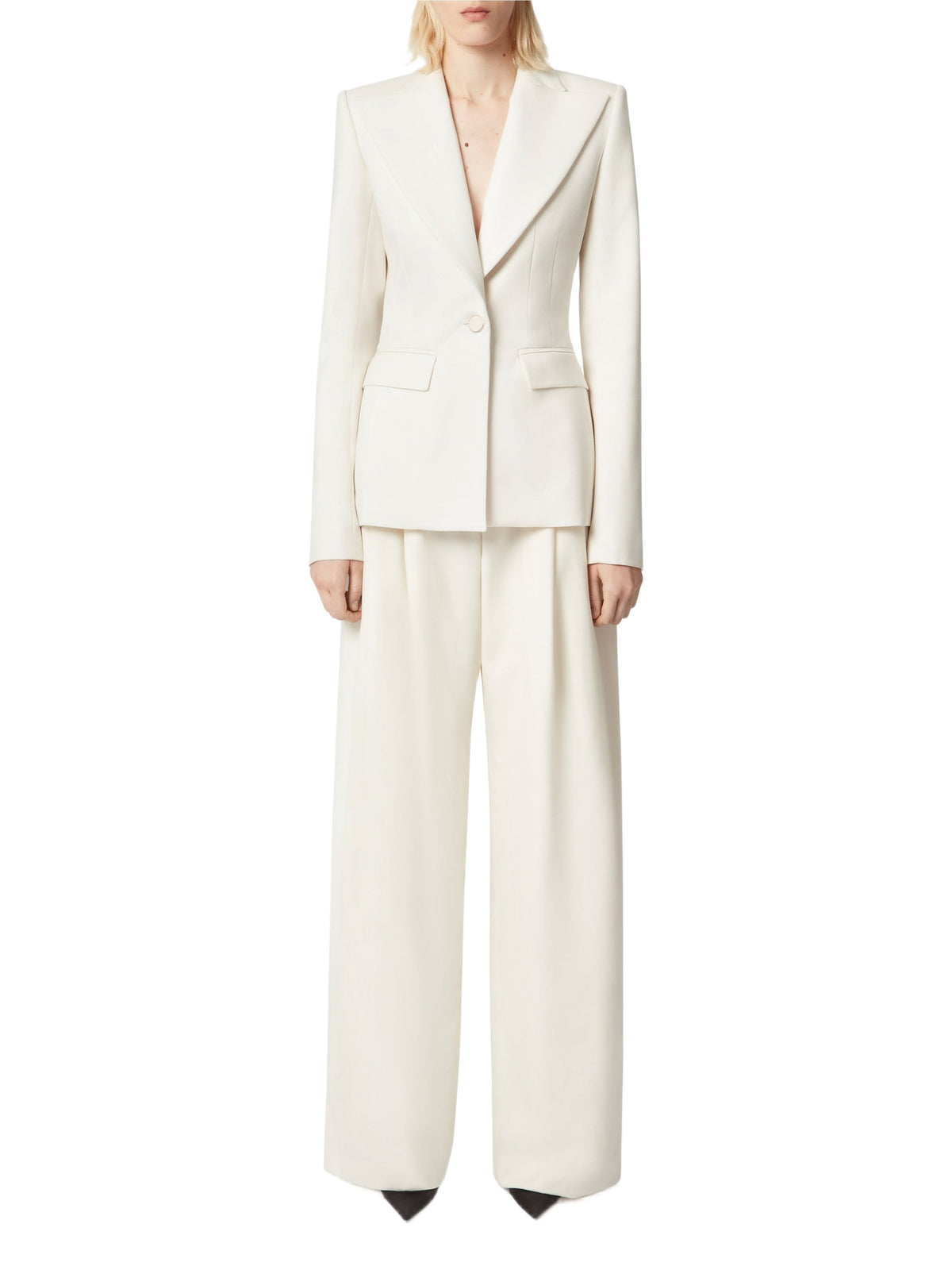 Pleated Wool Wide-Leg Pants - Beige