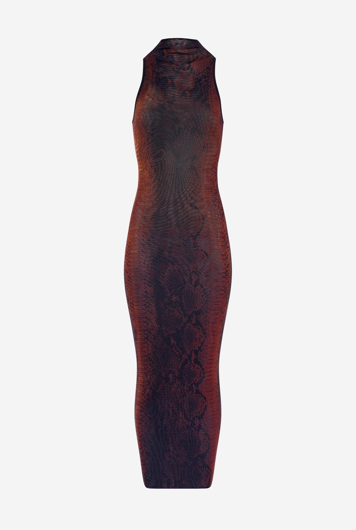Robe Longue À Col Montant En Tulle Marron Imprimé "Python".
 - Brown & Black