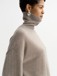 Regular Fit turtleneck