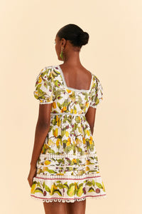 NEW_Fruit Orchard Off-White Robes courtes - Fruit Orchard Off-White