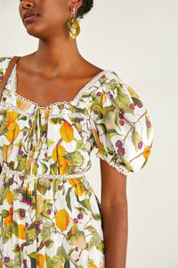 NEW_Fruit Orchard Off-White Robes courtes - Fruit Orchard Off-White