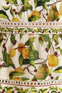 NEW_Fruit Orchard Off-White Chemises & Blouses - Fruit Orchard Off-White