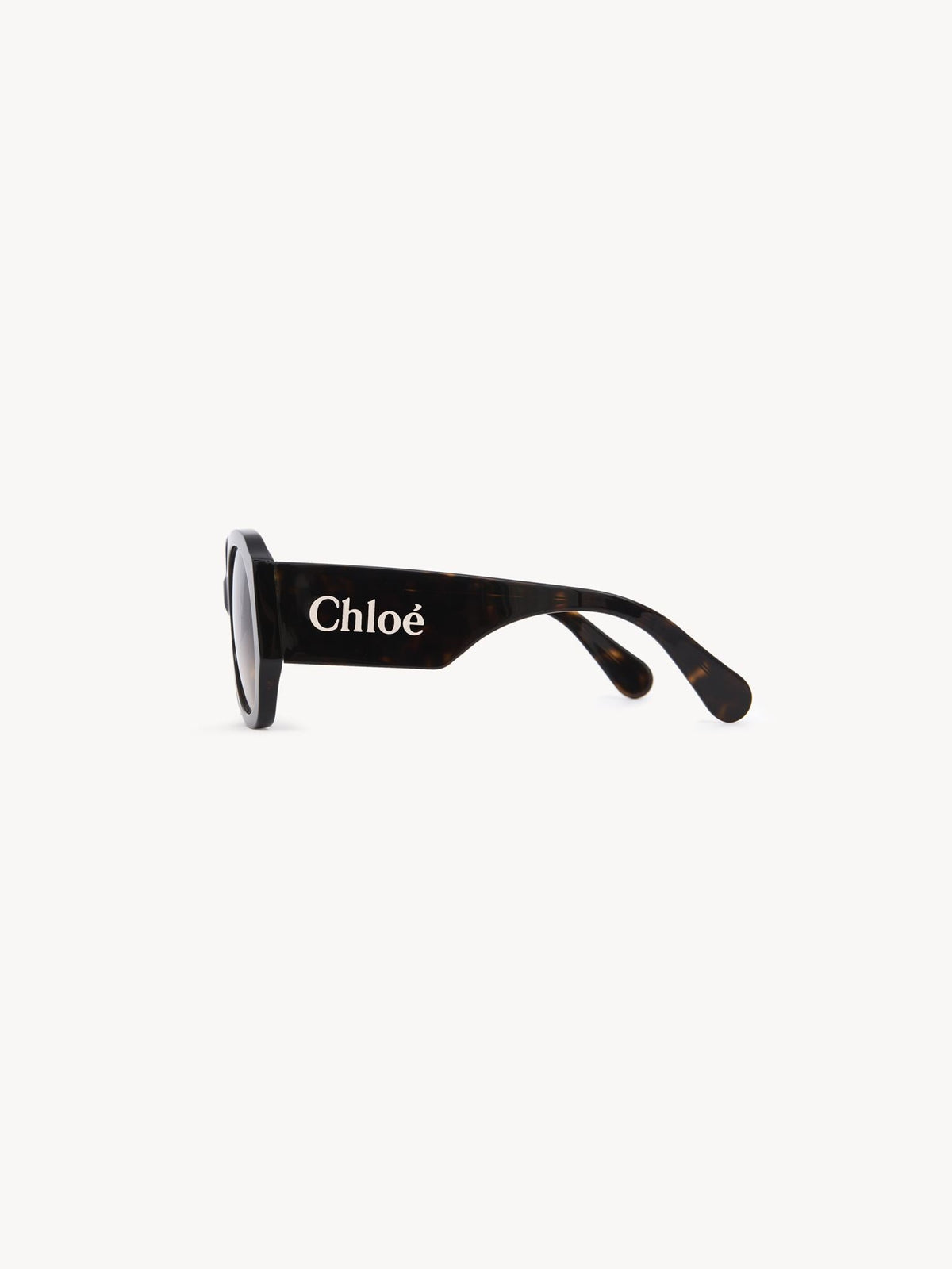 Havana SUNGLASSES - Havana