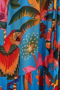Robe longue Macaw Party - Bleu