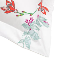 EQUATEUR_MULTI // TAIES EQUATEUR_MULTI