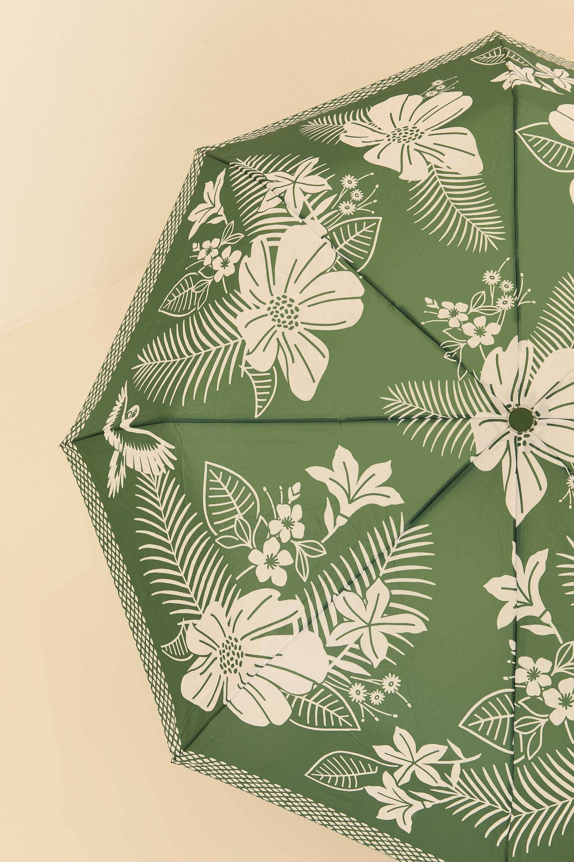 Parapluie Macaw Elegance - Vert