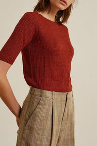 TERRE BRULEE MOYENNE JAUGE DELON