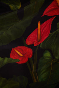 Robe longue Anthurium à col V - Noir
