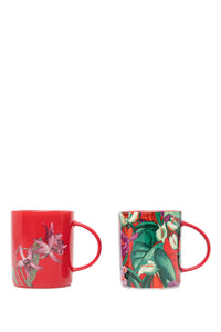 Multicolor Accessoires - Multicolor