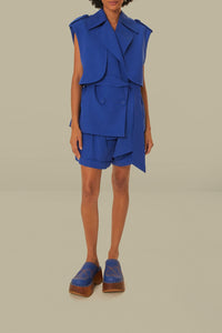 DJV_Navy Blue Jupes & Shorts - Navy Blue