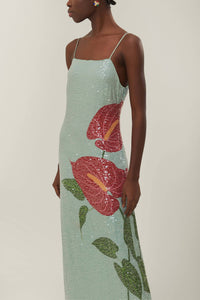 NEW_Anthurium Flowers Blue Robes longues - Anthurium Flowers Blue