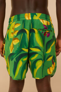 Short unisexe Banana Aquarela - Vert