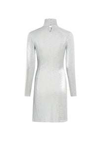 ZSHOOTING_Silver Robe - Silver