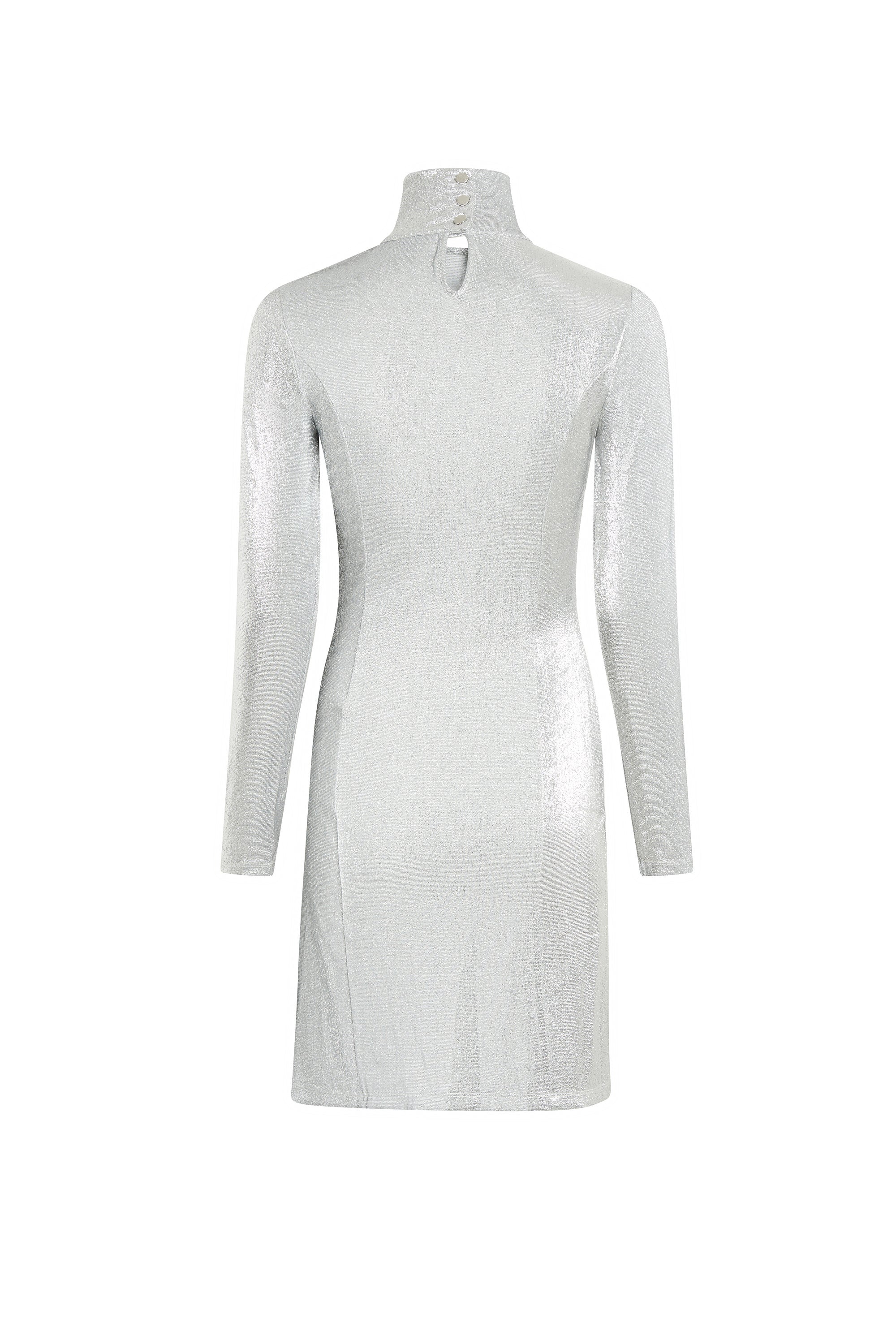 ZSHOOTING_Silver Robe - Silver