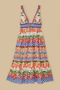Robe midi Picnic Peppers Ainika - Multicolore