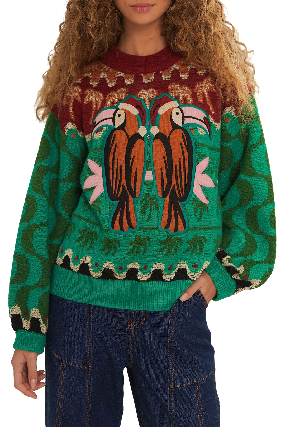 Pull Chirstmas Toucan en maille - Vert