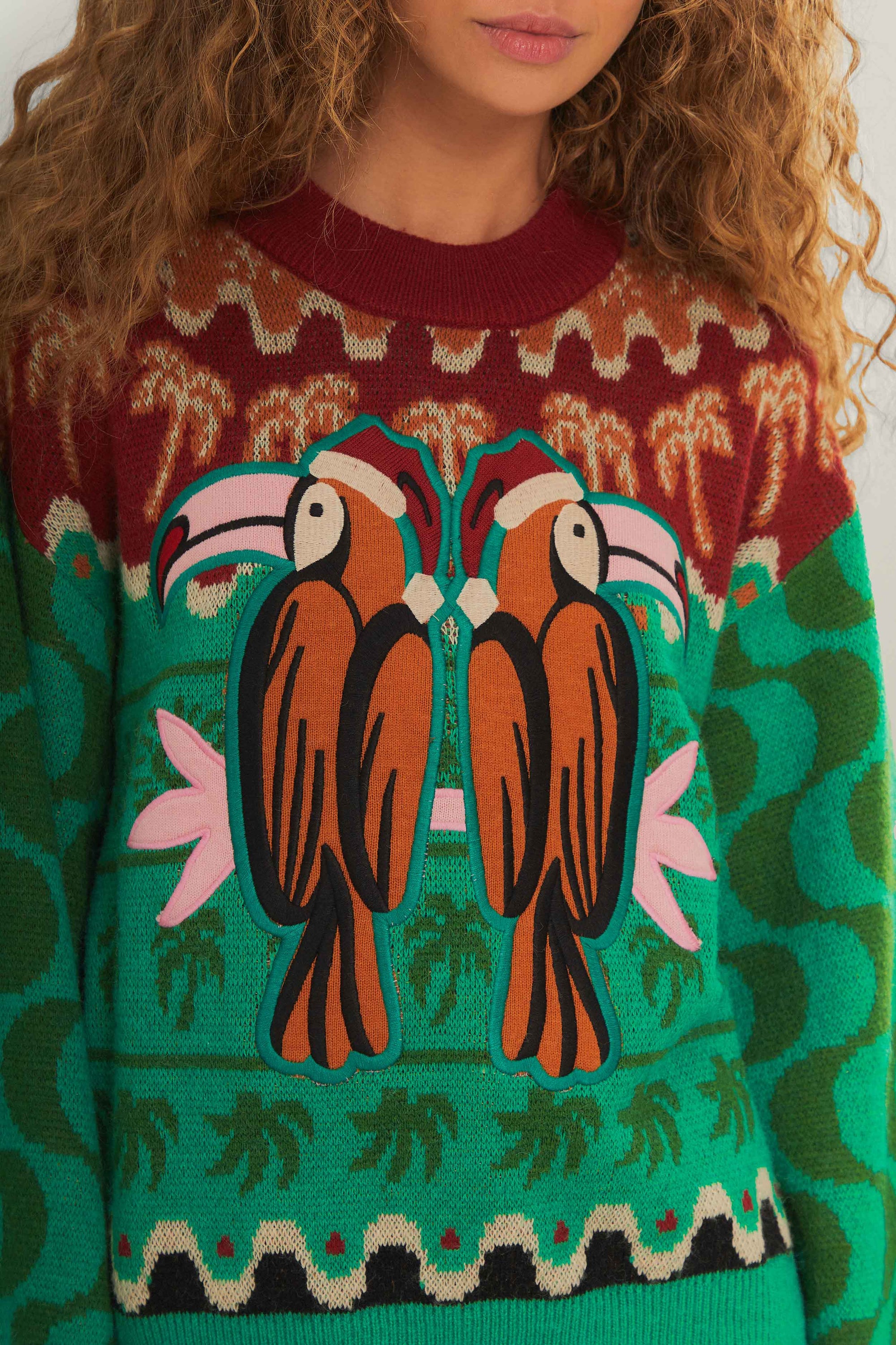 Pull Chirstmas Toucan en maille - Vert