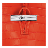 NEW_Orange Etui - Orange