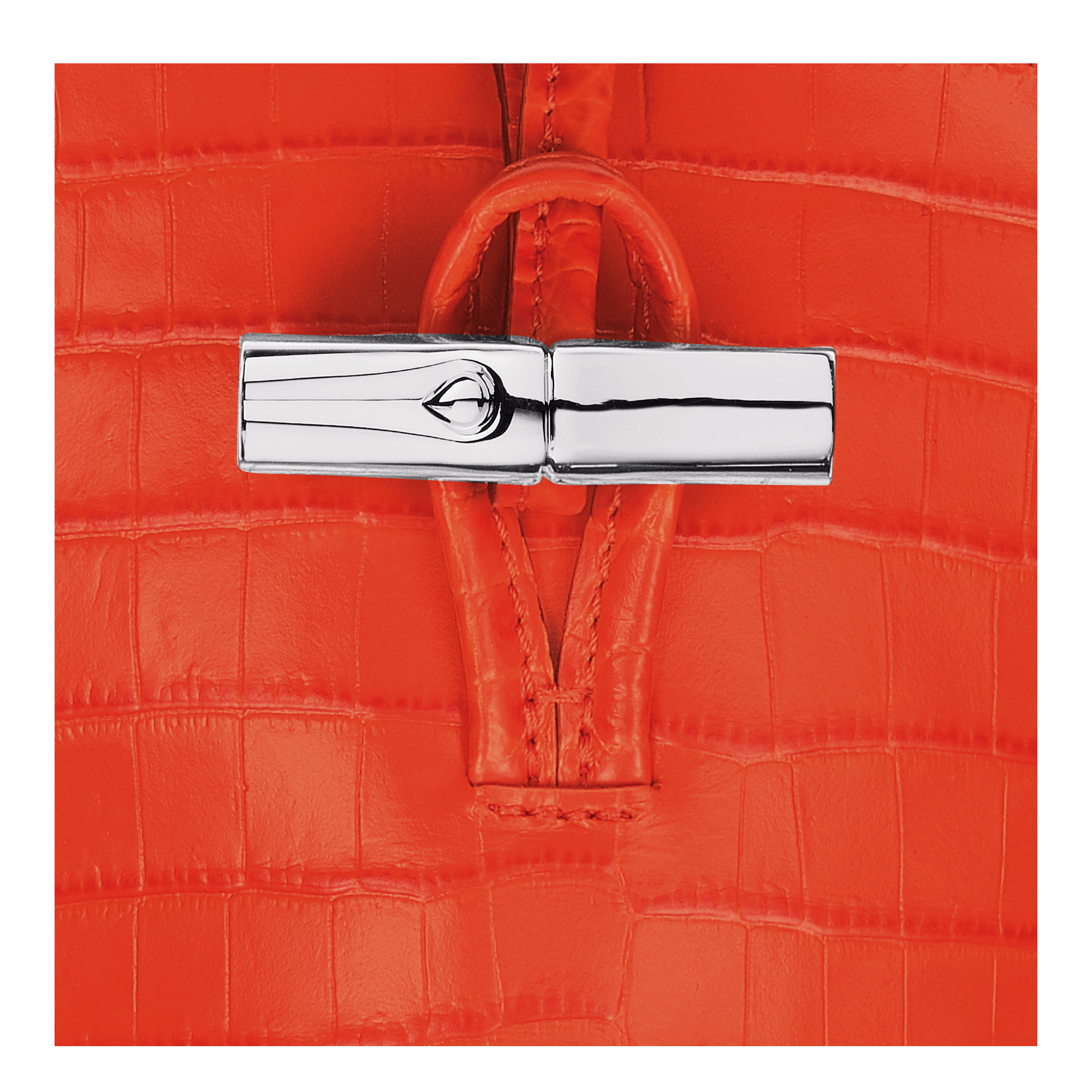 NEW_Orange Etui - Orange