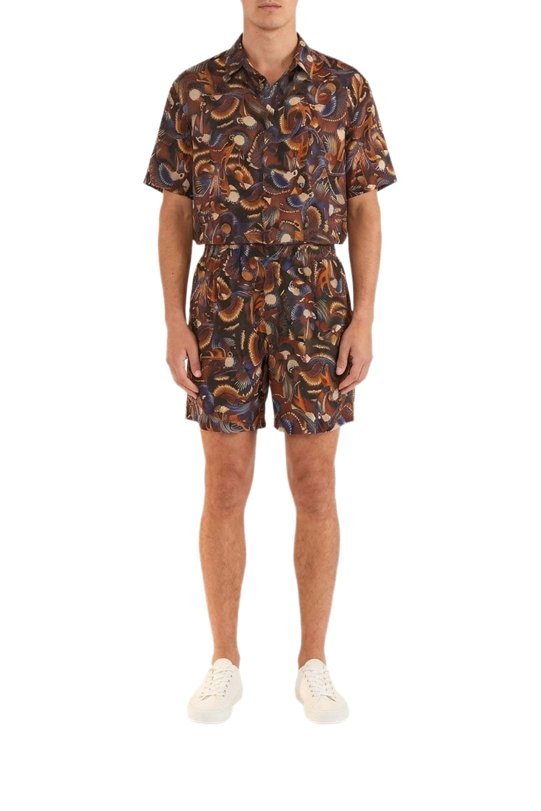 Short Flying Toucans - Multicolore