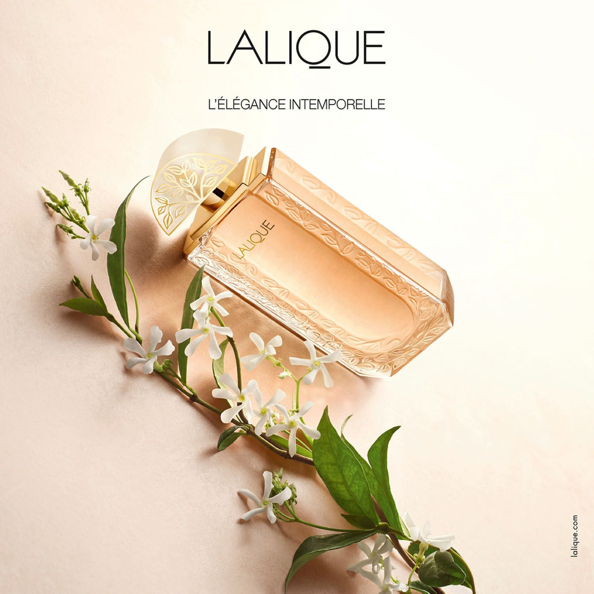 Eau de parfum Lalique de Lalique - Lalique de Lalique