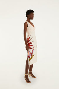 Strelitzia Sand Robe midi - Strelitzia Sand