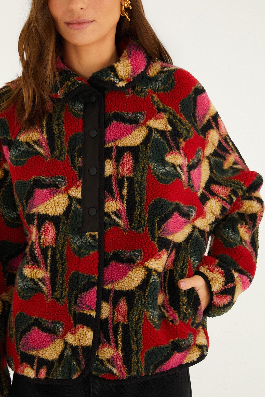 Mushrooms Black Bomber - Mushrooms Black