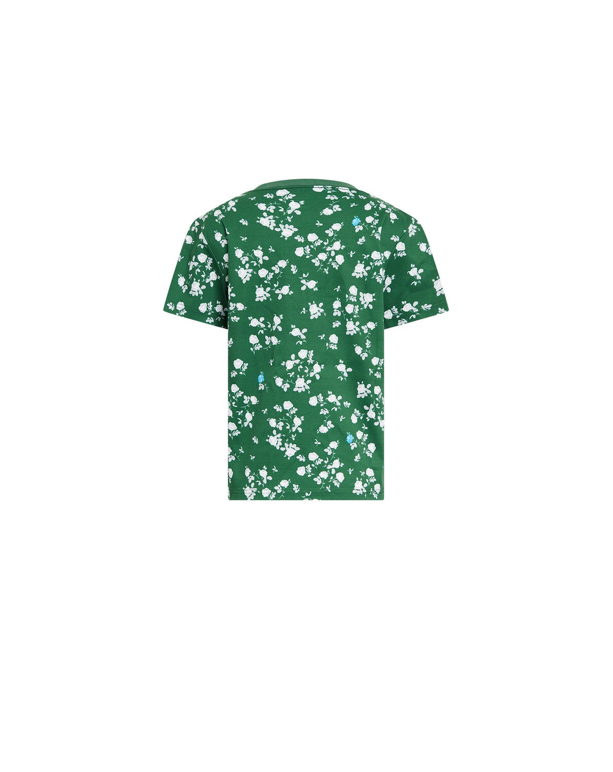 T-shirt regular imprimé en laine - Bouteille