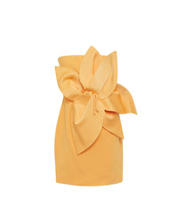 CURCUMA ROBE