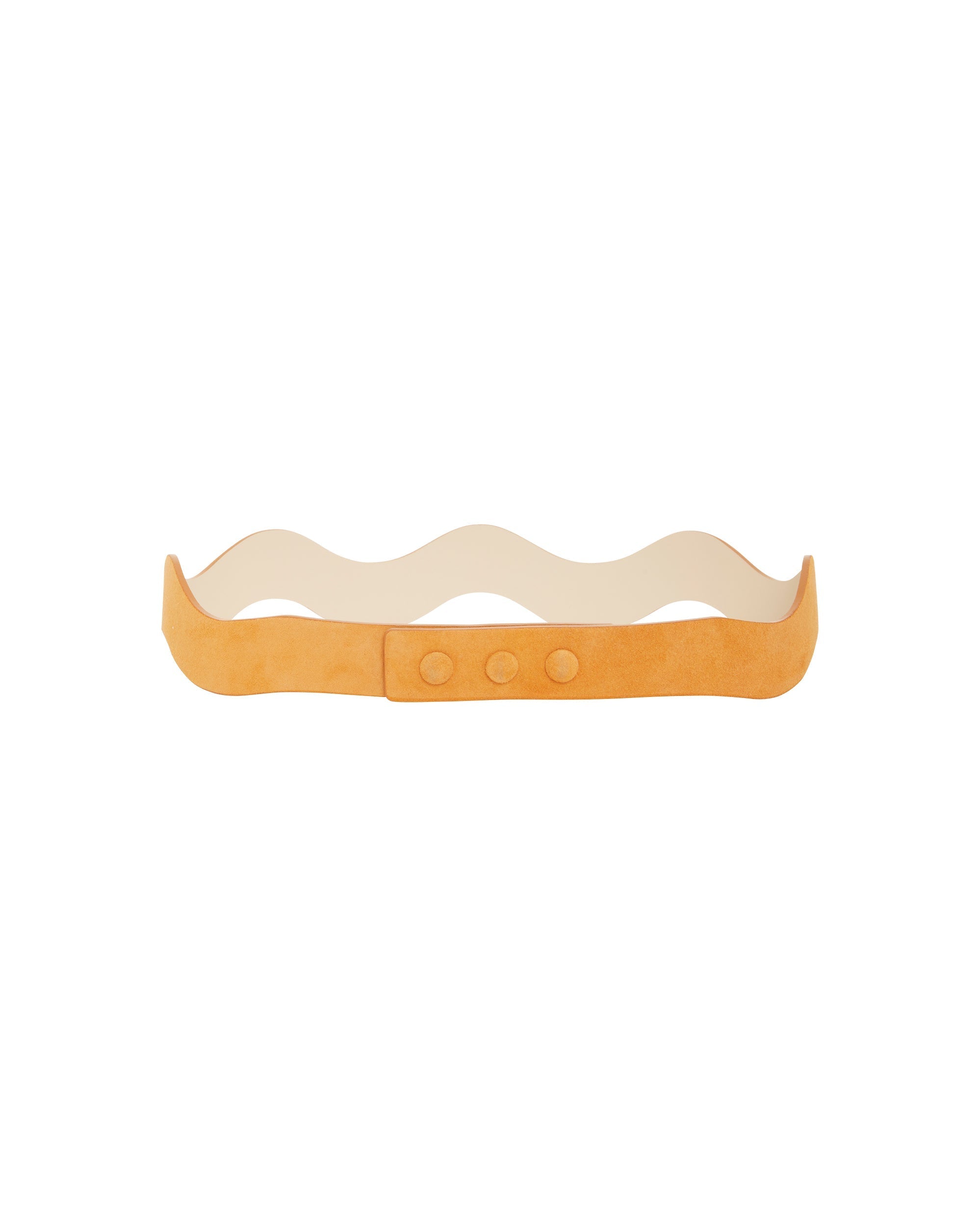 CURCUMA CEINTURE