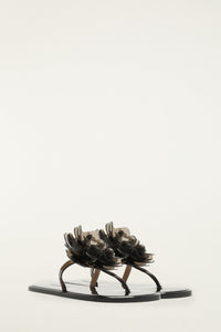 Black Sandales - Black
