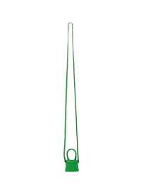 Sac Petit Chiquito en cuir - Green