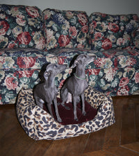 Panier pour chien Compagno - Léopard et Prune