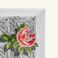 Assiette carrée Musciarabia con en porcelaine - Rose