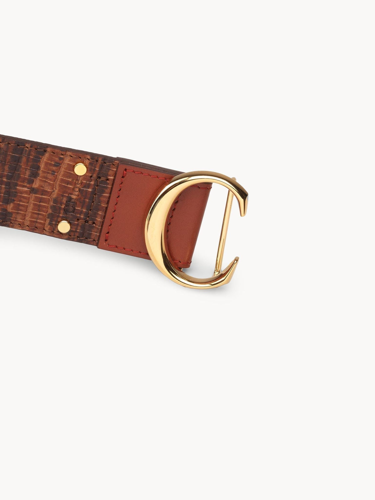 Chestnut Brown BELT - Chestnut Brown