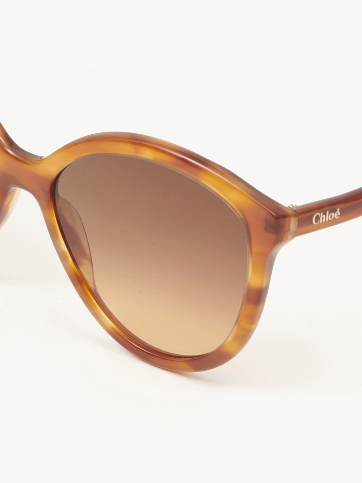 Light Havana SUNGLASSES - Light Havana