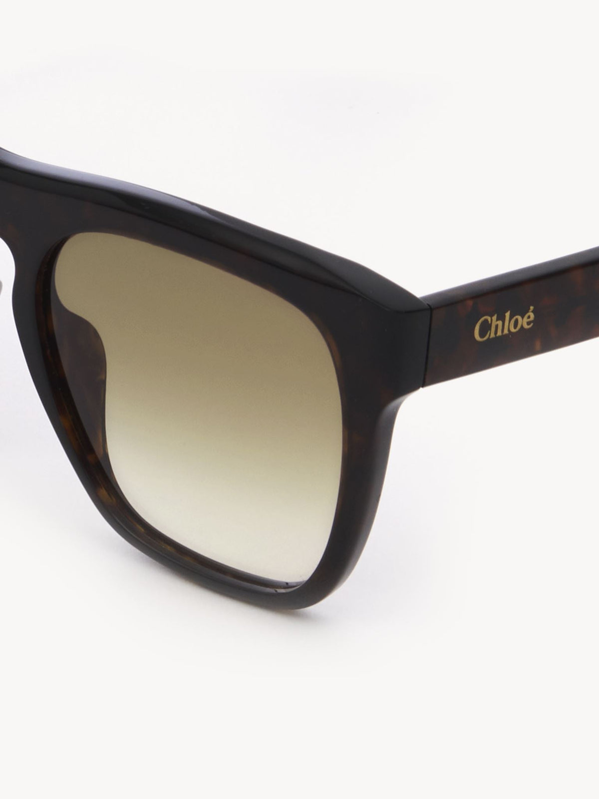 Dark Havana SUNGLASSES - Dark Havana